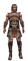 Warrior Istani armor m.jpg