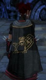 Guild Boy Toy Rodeo cape.jpg