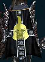 Guild Defender Of The Cross cape.jpg