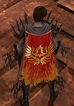 Guild Burning Eagles cape.jpg