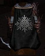 Guild Freedom Warriors cape.jpg