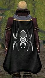 Guild Labyrinth of Night cape.JPG