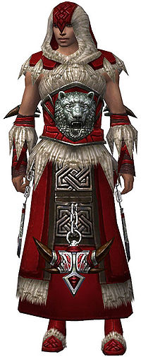 Dervish Norn armor m.jpg