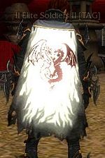 Guild Elite Soldiers cape.jpg