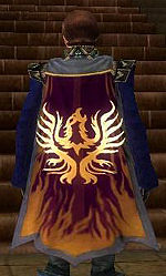 Guild Neio Nic cape.jpg