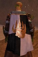 Guild Validus Partis Madidus cape.jpg