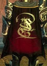 Guild The Eternal Souls cape.jpg