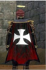 Guild X Rammstein cape.jpg