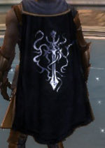 Guild Brotherhood Of Sweden cape.jpg