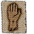 Survivor Insignia.png