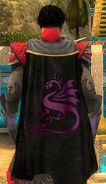 Guild Asura Amateurs cape.jpg