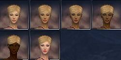 Mesmer factions skin color f.jpg