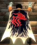 Guild The Bountyhunters Guild cape.jpg