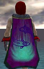 Guild The Vekk Fanclub cape.jpg