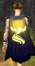 Guild Dwaynas Order Of Emissaries cape.jpg