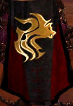 Guild The Cugarie cape.jpg