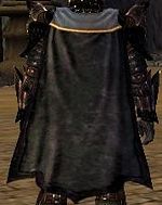 Guild Elite Soldiers Of Mysterium cape.jpg