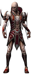 Olias Mysterious armor.jpg