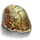 Kappa Hatchling Shell.png