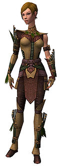 Ranger Druid armor f.jpg