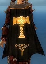 Guild Shadows Of Ravenloft cape.jpg