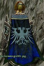 Guild Tyrian Grey Wardens cape.jpg