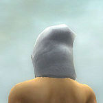 Augur of Kormir costume m white back head.jpg