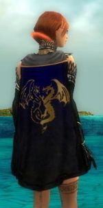 Guild The Misanthropes cape.jpg