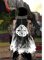 Guild The Sacred Circle cape.jpg