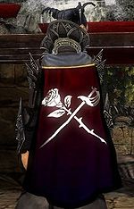 Guild The Older Ones Legion cape.jpg