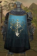 Guild The Sacred Vanguard cape.jpg