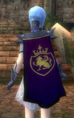 Guild Hard Days Knight Cape.JPG