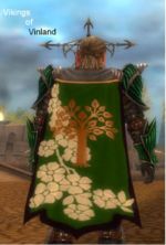 Guild Vikings Of Vinland cape.jpg