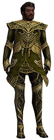 Norgu Primeval armor.jpg