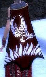 Guild Knights Of The Dark Raven cape.jpg