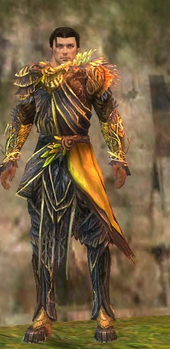 Disciple of Melandru costume m gray front.png