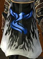 Guild Sinner Made Saint cape.jpg