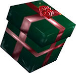 Present (bundle).jpg