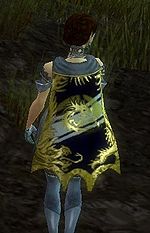 Guild Roadhouse Blues cape.jpg