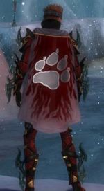 Guild The Arctic Wolves cape.jpg