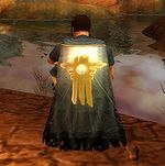 Guild The Zero Wings cape.jpg