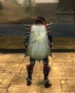 Guild Swords Of Luxon cape.jpg