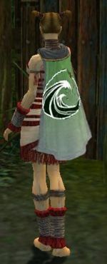 Guild Zero Hunters cape.jpg