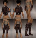 Ranger Obsidian armor f brown overview.jpg