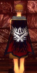 Guild Call Of Honour cape.jpg