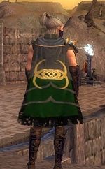 Guild Death Band cape.jpg