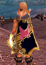 Guild IIII III II I II III cape.jpg