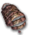 Dull Carapace.png