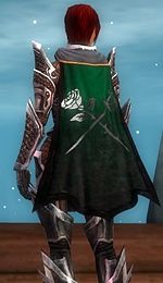 Guild Nightbringers Pride cape.jpg