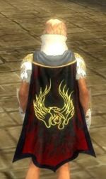 Guild Tribal Warfare cape.jpg